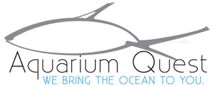 Aquarium Quest